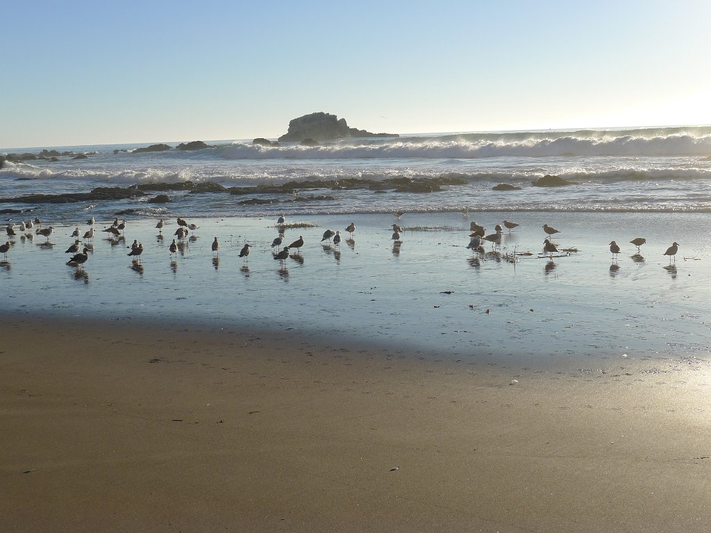 2014-01-17 PointReyesCamping 138